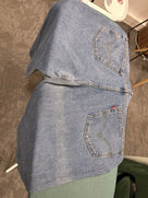 Jean Levi's 550